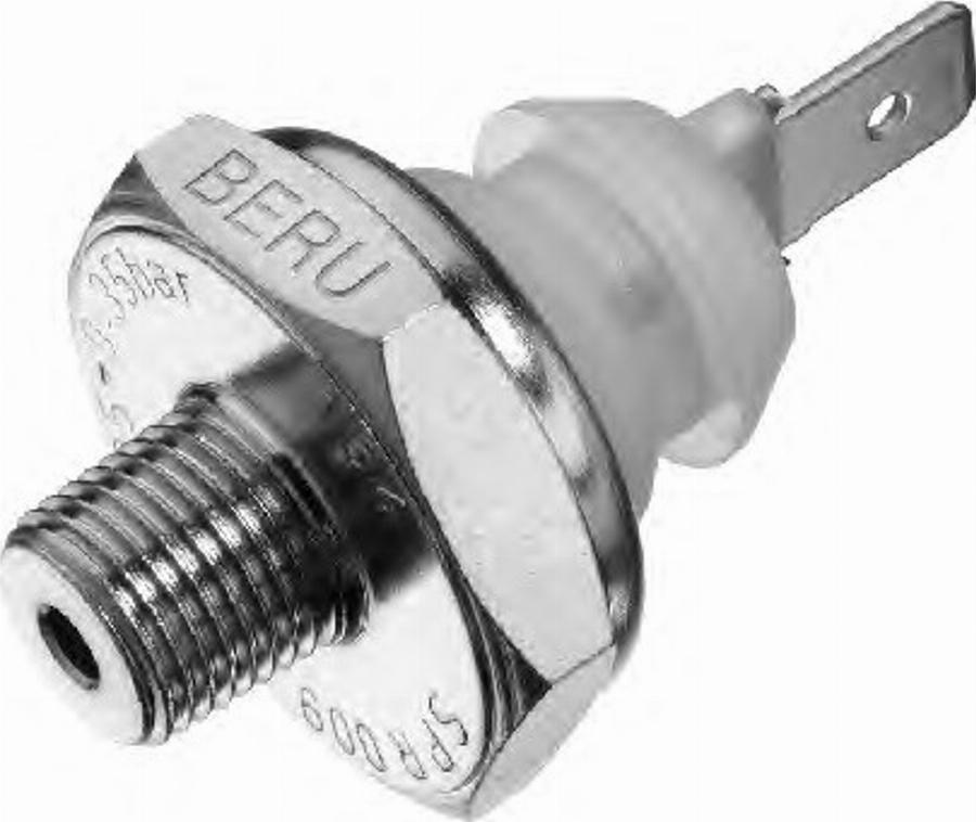 BorgWarner (BERU) 0824331026 - Датчик, налягане на маслото vvparts.bg