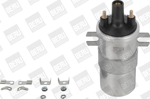 BorgWarner (BERU) ZS568 - Запалителна бобина vvparts.bg