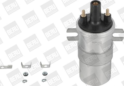 BorgWarner (BERU) ZS563 - Запалителна бобина vvparts.bg