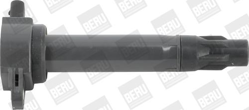 BorgWarner (BERU) ZS562 - Запалителна бобина vvparts.bg