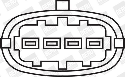 BorgWarner (BERU) ZS306 - Запалителна бобина vvparts.bg