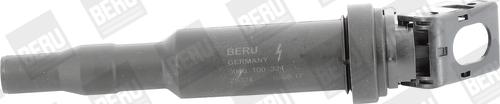 BorgWarner (BERU) ZS324 - Запалителна бобина vvparts.bg
