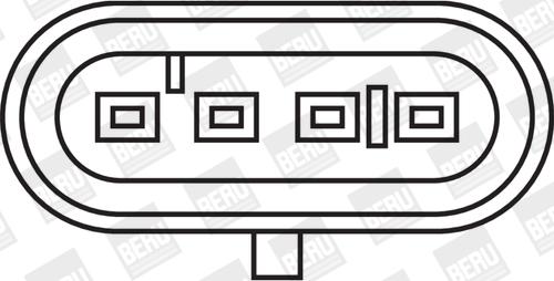 BorgWarner (BERU) ZS325 - Запалителна бобина vvparts.bg