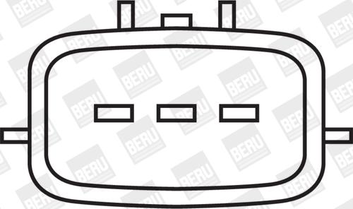 BorgWarner (BERU) ZSE020 - Запалителна бобина vvparts.bg