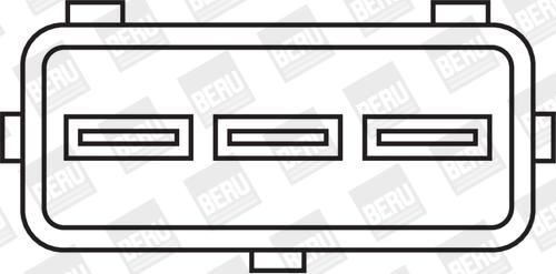 BorgWarner (BERU) ZSE006 - Запалителна бобина vvparts.bg