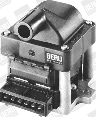 BorgWarner (BERU) ZSE002 - Запалителна бобина vvparts.bg