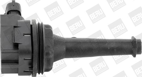 BorgWarner (BERU) ZSE019 - Запалителна бобина vvparts.bg