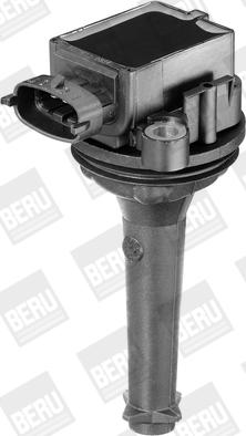 BorgWarner (BERU) ZSE019 - Запалителна бобина vvparts.bg