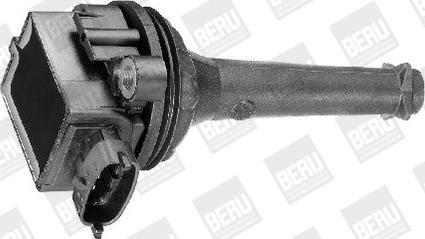 BorgWarner (BERU) ZSE019 - Запалителна бобина vvparts.bg