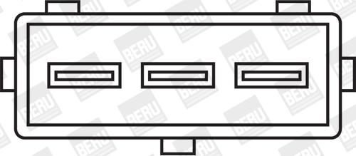 BorgWarner (BERU) ZSE036 - Запалителна бобина vvparts.bg