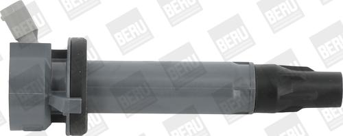 BorgWarner (BERU) ZSE194 - Запалителна бобина vvparts.bg