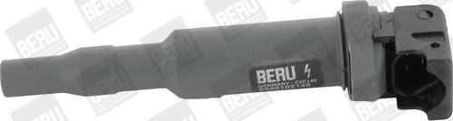 BorgWarner (BERU) ZSE145 - Запалителна бобина vvparts.bg