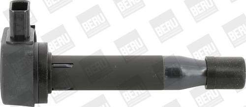 BorgWarner (BERU) ZSE183 - Запалителна бобина vvparts.bg