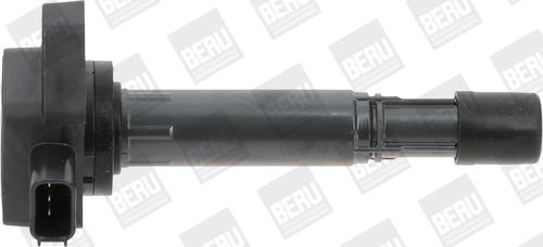 BorgWarner (BERU) ZSE170 - Запалителна бобина vvparts.bg