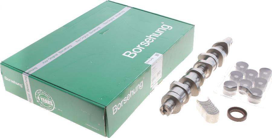 Borsehung B11307 - Комплект разпределителен вал vvparts.bg