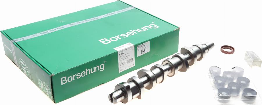 Borsehung B18664 - Комплект разпределителен вал vvparts.bg