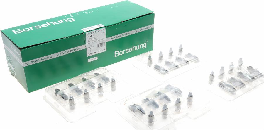 Borsehung B18205 - Повдигач на клапан vvparts.bg