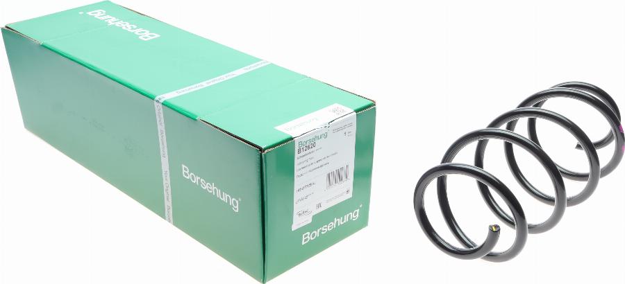 Borsehung B12620 - Пружина за ходовата част vvparts.bg