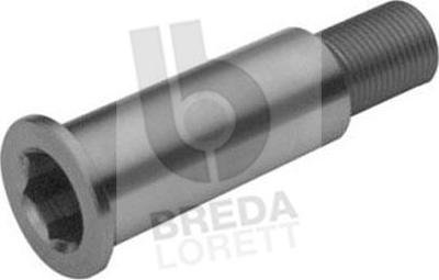 Breda Lorett TOA3074 - Опорна шийка, лост на обтяжната ролка vvparts.bg