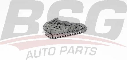 BSG BSG 60-105-005 - Ангренажна верига vvparts.bg