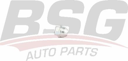 BSG BSG 30-230-050 - Гайка на колелото vvparts.bg