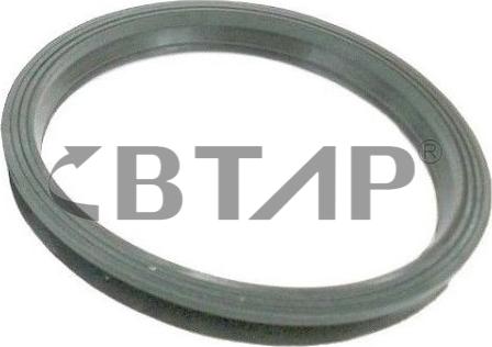 BTAP BVB210-234 - Уплътнение, горивна сонда (датчик за показване нивото на гор vvparts.bg