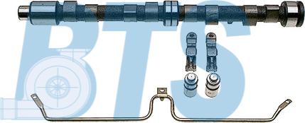 BTS Turbo CP61115 - Комплект разпределителен вал vvparts.bg