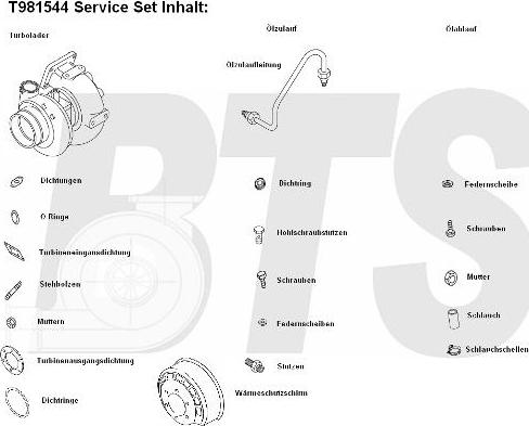 BTS Turbo T981544 - Турбина, принудително пълнене с въздух vvparts.bg