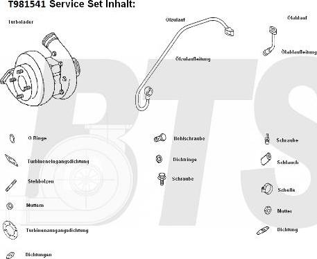 BTS Turbo T981541 - Турбина, принудително пълнене с въздух vvparts.bg