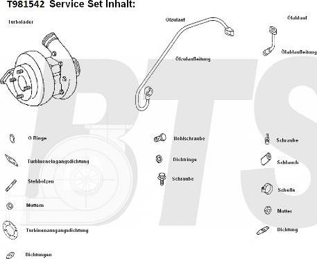 BTS Turbo T981542 - Турбина, принудително пълнене с въздух vvparts.bg