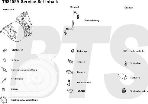 BTS Turbo T981559 - Турбина, принудително пълнене с въздух vvparts.bg