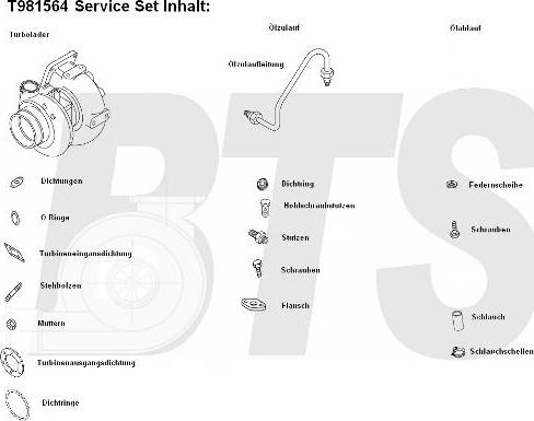 BTS Turbo T981564 - Турбина, принудително пълнене с въздух vvparts.bg