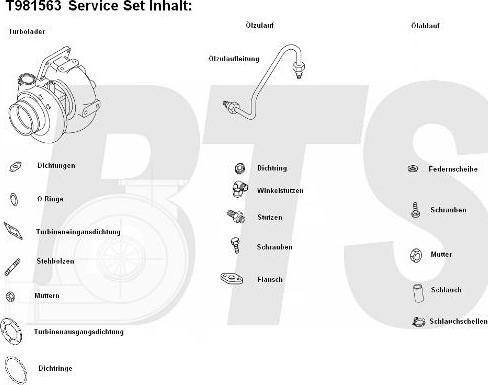 BTS Turbo T981563 - Турбина, принудително пълнене с въздух vvparts.bg