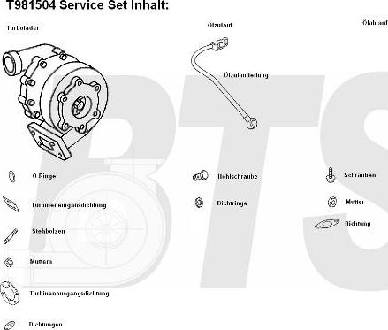 BTS Turbo T981504 - Турбина, принудително пълнене с въздух vvparts.bg