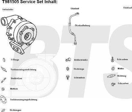BTS Turbo T981505 - Турбина, принудително пълнене с въздух vvparts.bg
