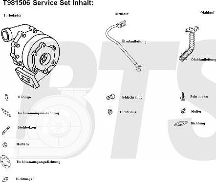 BTS Turbo T981506BL - Турбина, принудително пълнене с въздух vvparts.bg