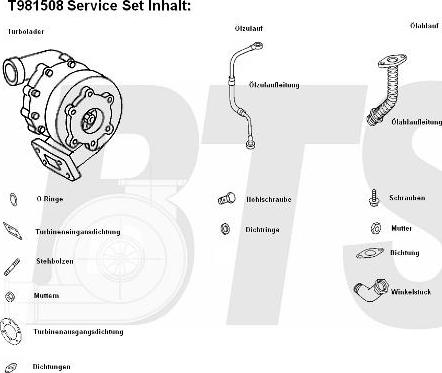 BTS Turbo T981508 - Турбина, принудително пълнене с въздух vvparts.bg