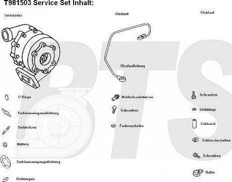 BTS Turbo T981503 - Турбина, принудително пълнене с въздух vvparts.bg