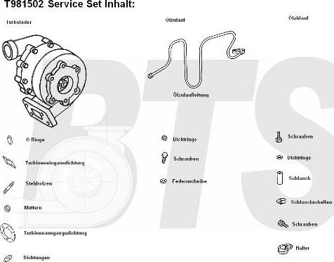 BTS Turbo T981502 - Турбина, принудително пълнене с въздух vvparts.bg