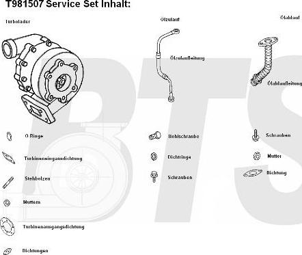 BTS Turbo T981507 - Турбина, принудително пълнене с въздух vvparts.bg
