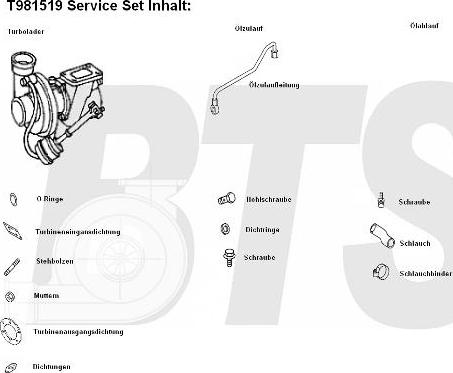 BTS Turbo T981519 - Турбина, принудително пълнене с въздух vvparts.bg