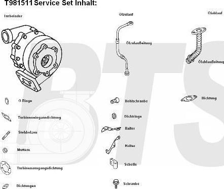 BTS Turbo T981511 - Турбина, принудително пълнене с въздух vvparts.bg