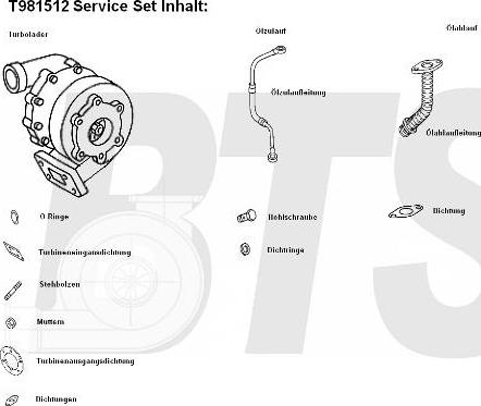 BTS Turbo T981512 - Турбина, принудително пълнене с въздух vvparts.bg