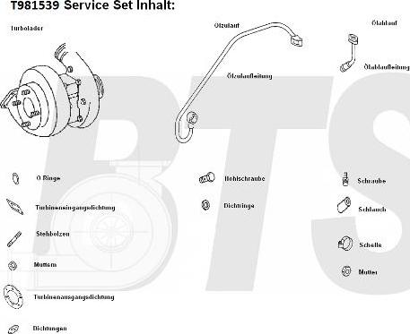 BTS Turbo T981539 - Турбина, принудително пълнене с въздух vvparts.bg