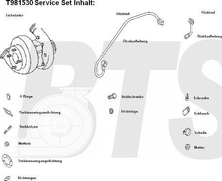 BTS Turbo T981530 - Турбина, принудително пълнене с въздух vvparts.bg