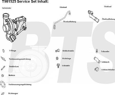 BTS Turbo T981525 - Турбина, принудително пълнене с въздух vvparts.bg