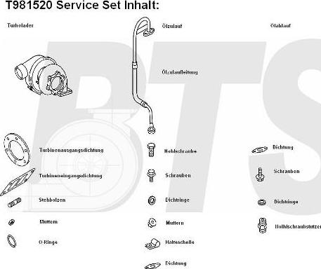 BTS Turbo T981520 - Турбина, принудително пълнене с въздух vvparts.bg