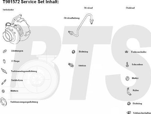 BTS Turbo T981572 - Турбина, принудително пълнене с въздух vvparts.bg