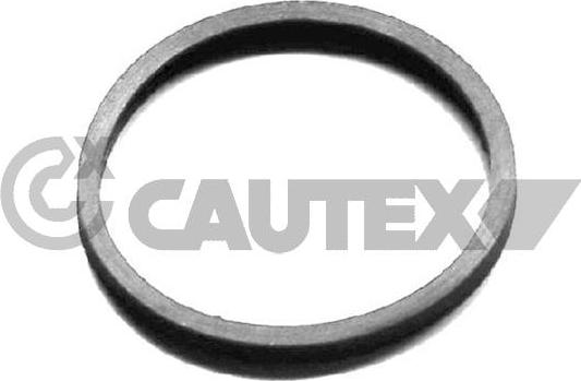 Cautex 954208 - Уплътнение, термостат vvparts.bg