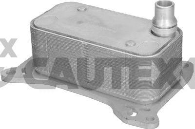 Cautex 775763 - Маслен радиатор, двигателно масло vvparts.bg